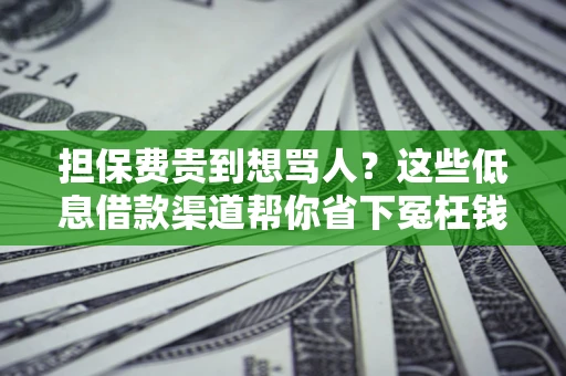 济南担保费贵到想骂人？这些低息借款渠道帮你省下冤枉钱
