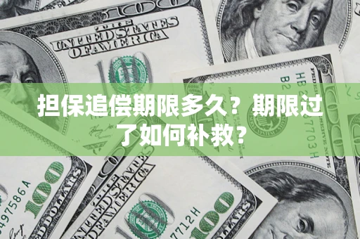 济南担保追偿期限多久？期限过了如何补救？
