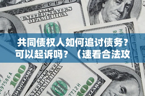济南共同债权人如何追讨债务？可以起诉吗？（速看合法攻略）